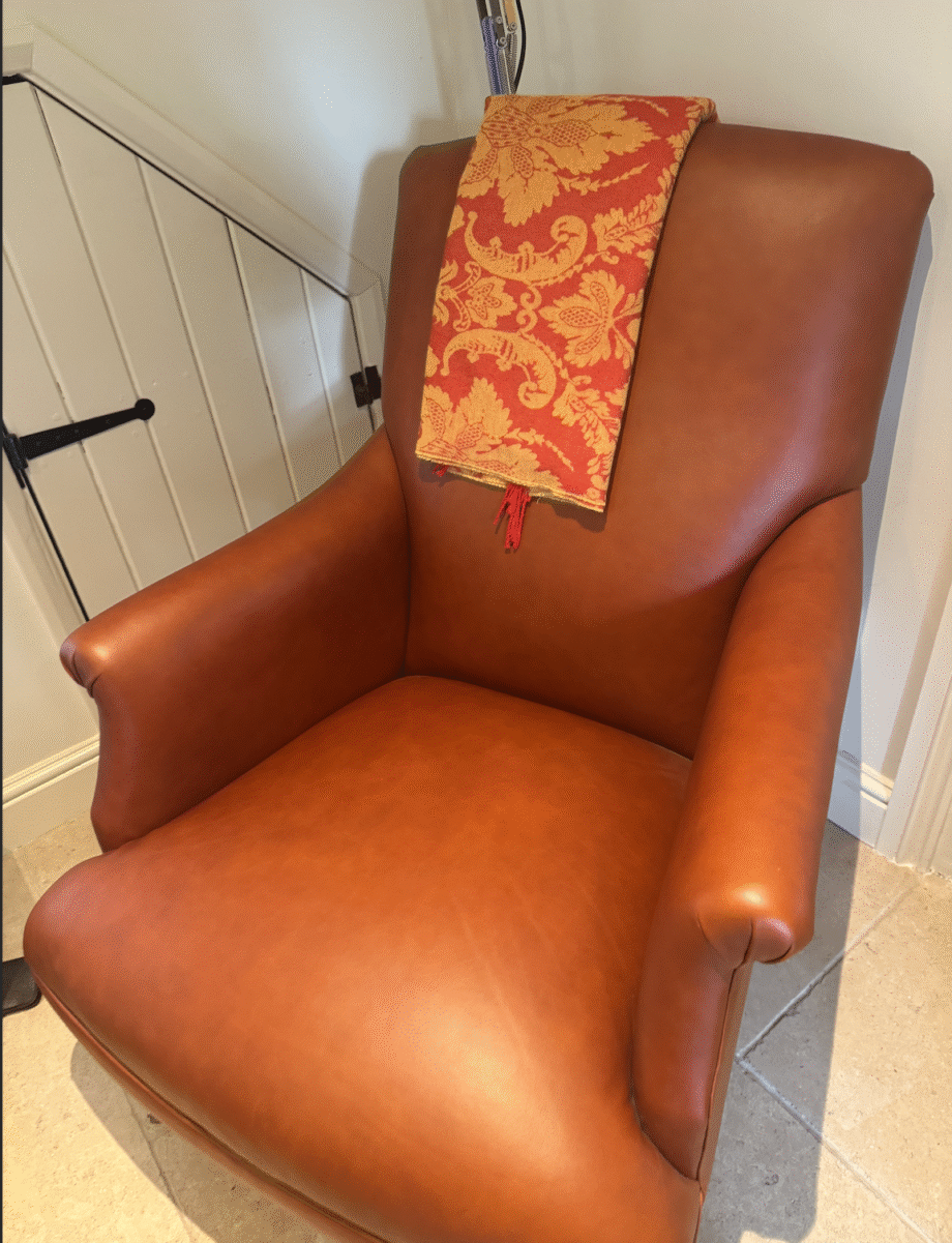 Leather Snape Chairs from Sofas & Stuff
